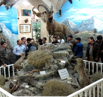 El Museo de Ciencias Naturales de Yazd: Aprender ciencia visitando un museo fascinante