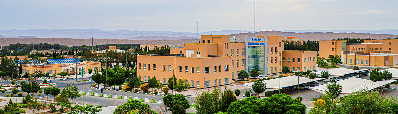 Universidad de Biryand, el centro científico y educativo del noreste de Irán 